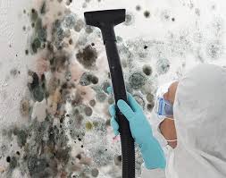 Best Water Damage & Mold Remediation  in Manor, PA